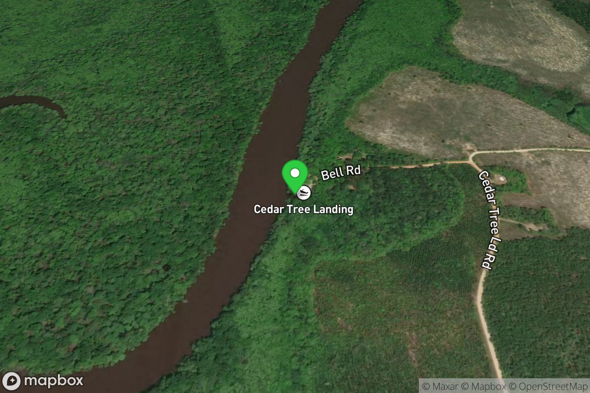 Cedar Tree Landing Public Boat Ramp