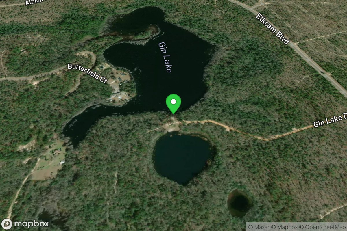 Dave Taylor Landing Public Boat Ramp (Gin Lake)