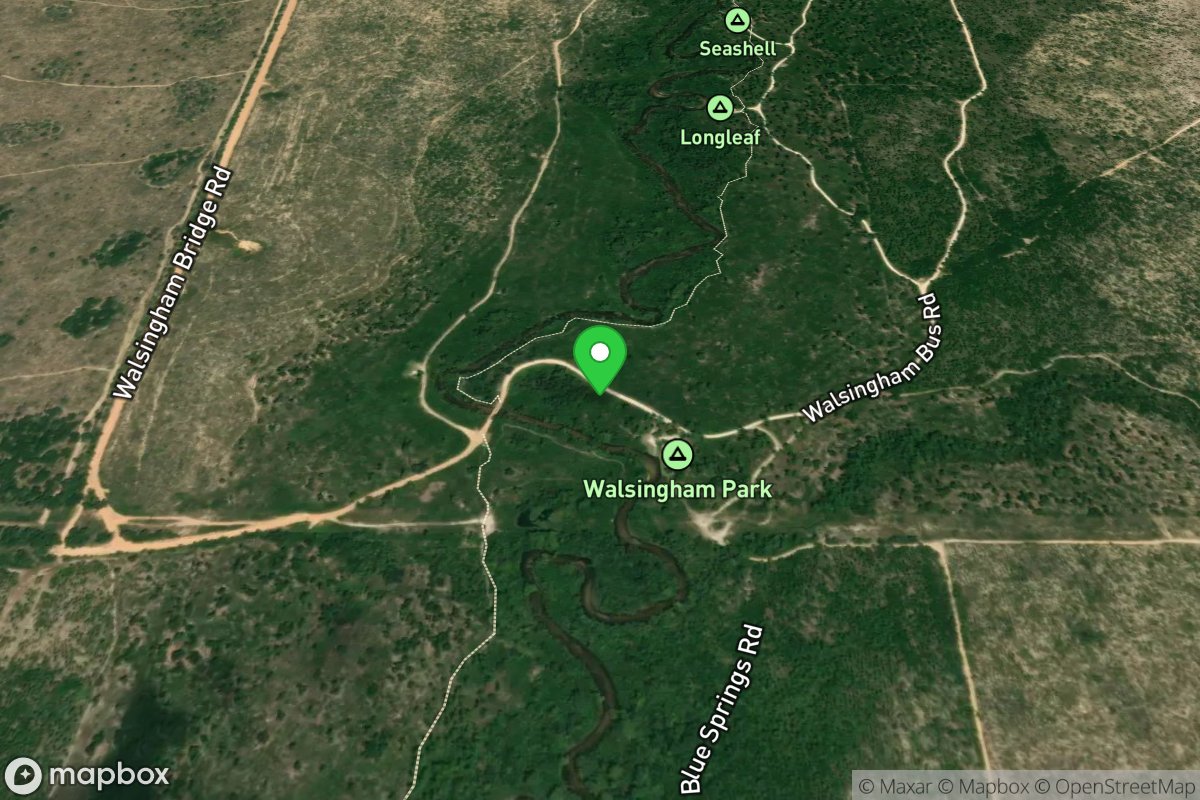 Econfina Creek - Walsingham Park Canoe Launch