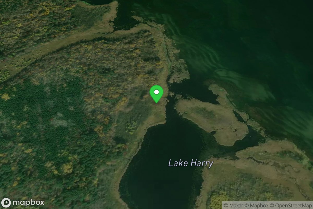 Lake Winnibigoshish, Reese Landing State Water Ac*