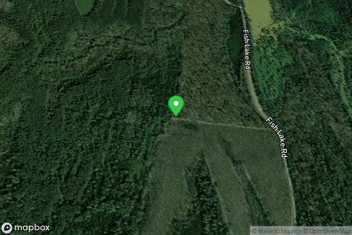 Black Wolf Swamp Ramp