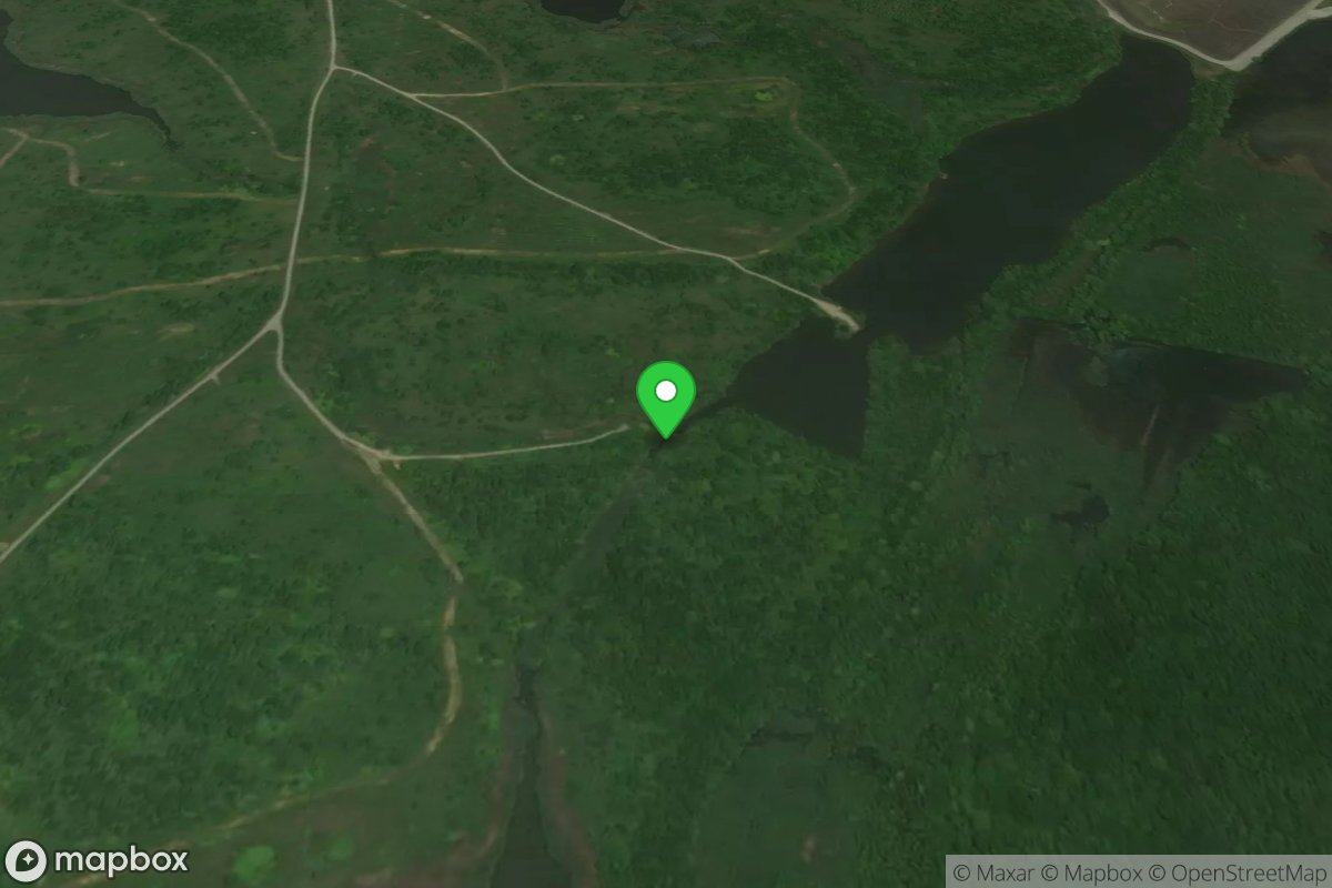 Bittern Lake Ramp #1