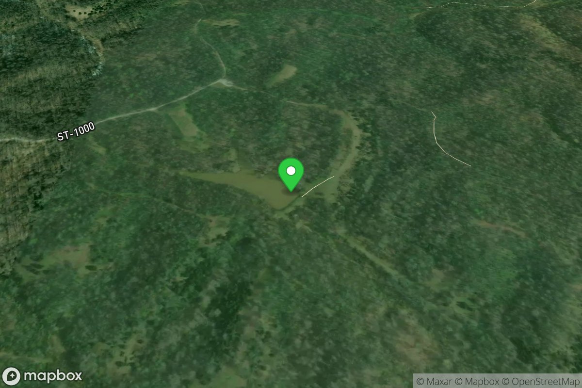 Veterans Memorial WMA Pond