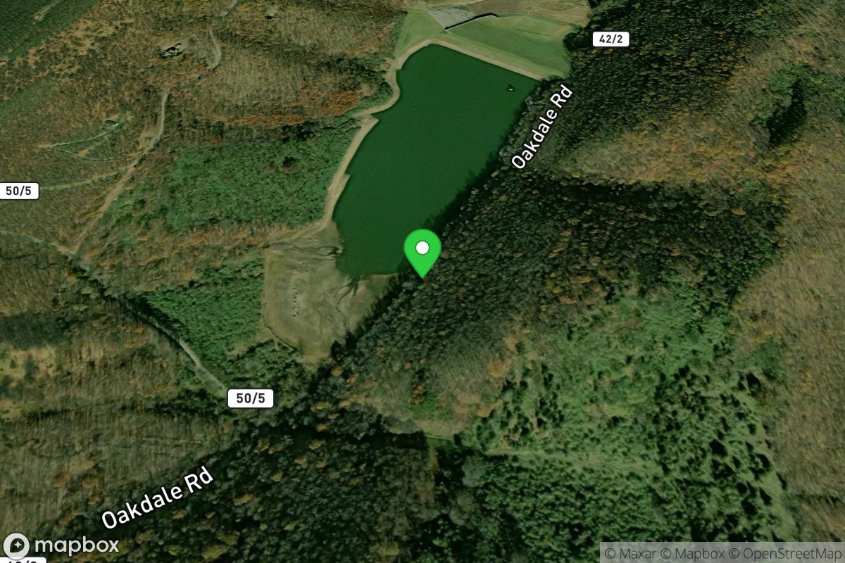 New Creek Lake, Dam #14