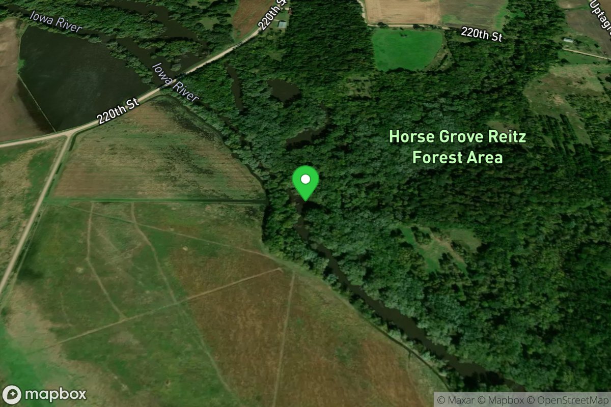 Horse Grove