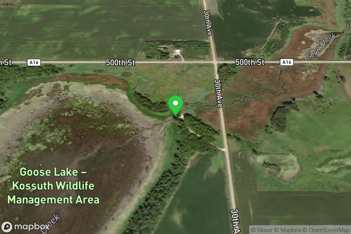 Goose Lake - Kossuth