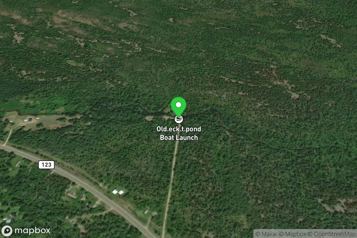 Old Eckerman Trout Pond