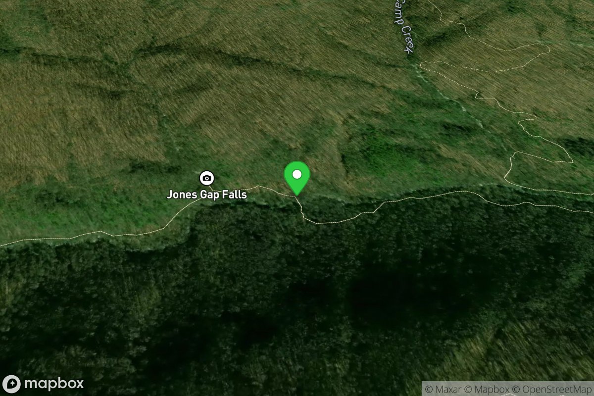 Jones Gap Trail Bridge