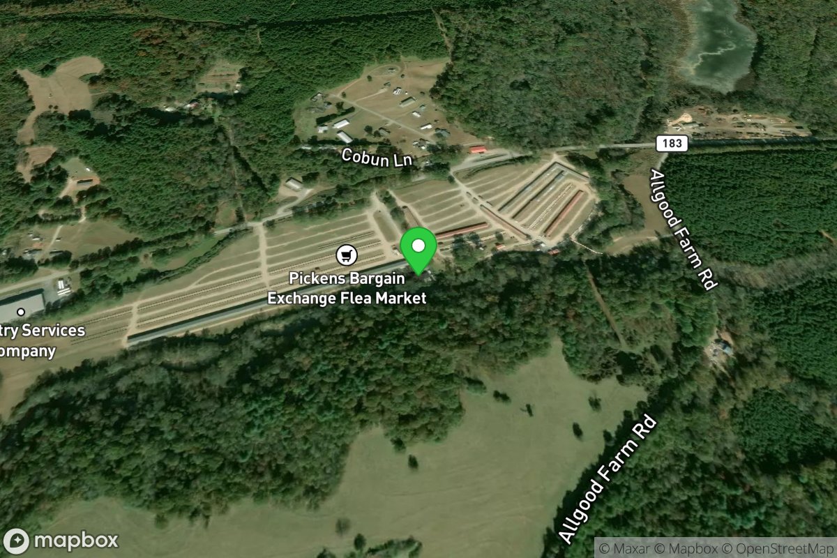 Bargain Exchange Flea Market