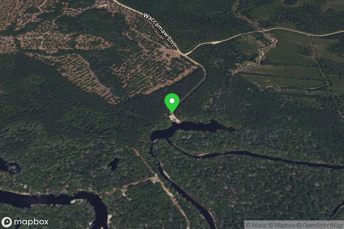 Big Savannah Bluff Landing