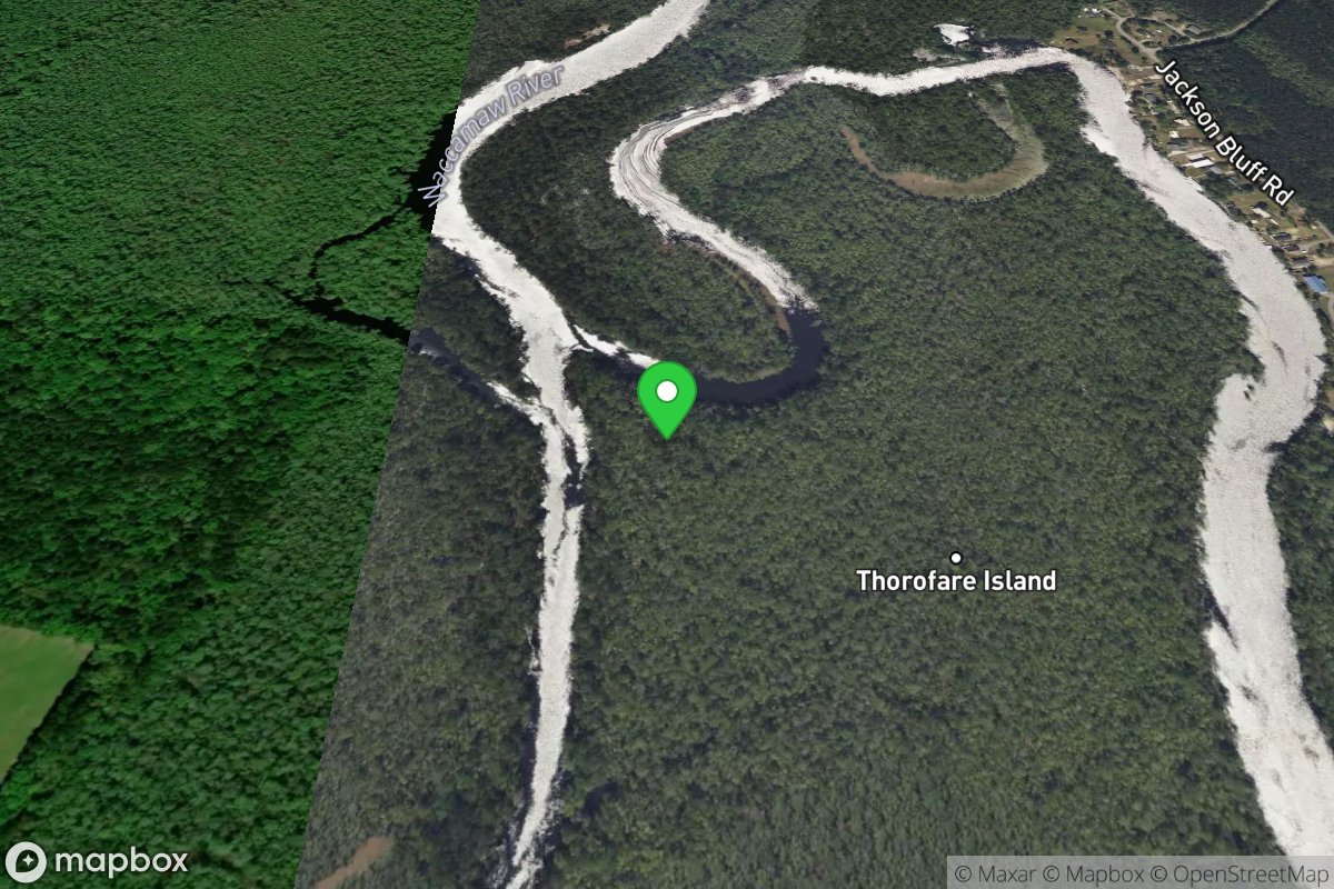 Jackson Bluff Landing