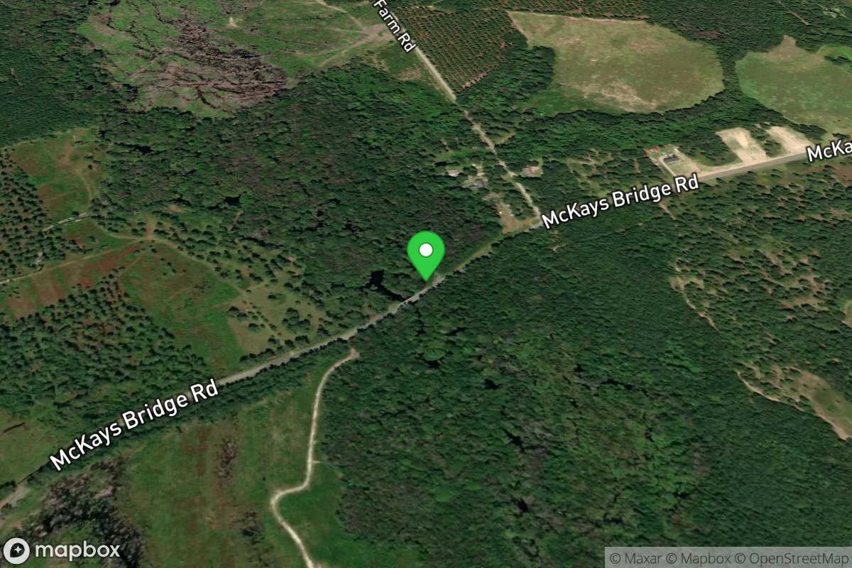 McKays Bridge Throw-In