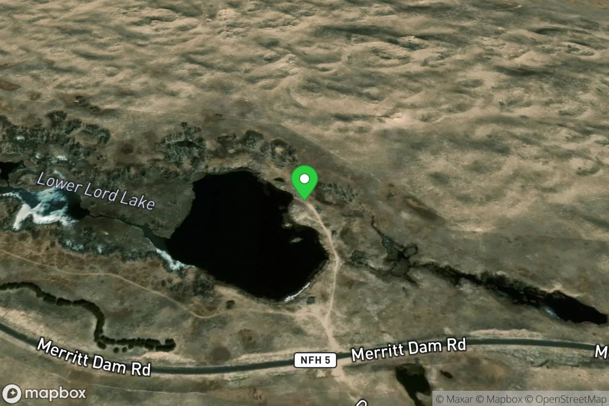 McKelvie National Forest