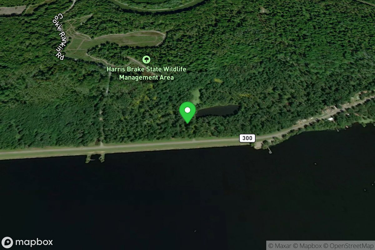 Harris Brake GTR Boat Ramp