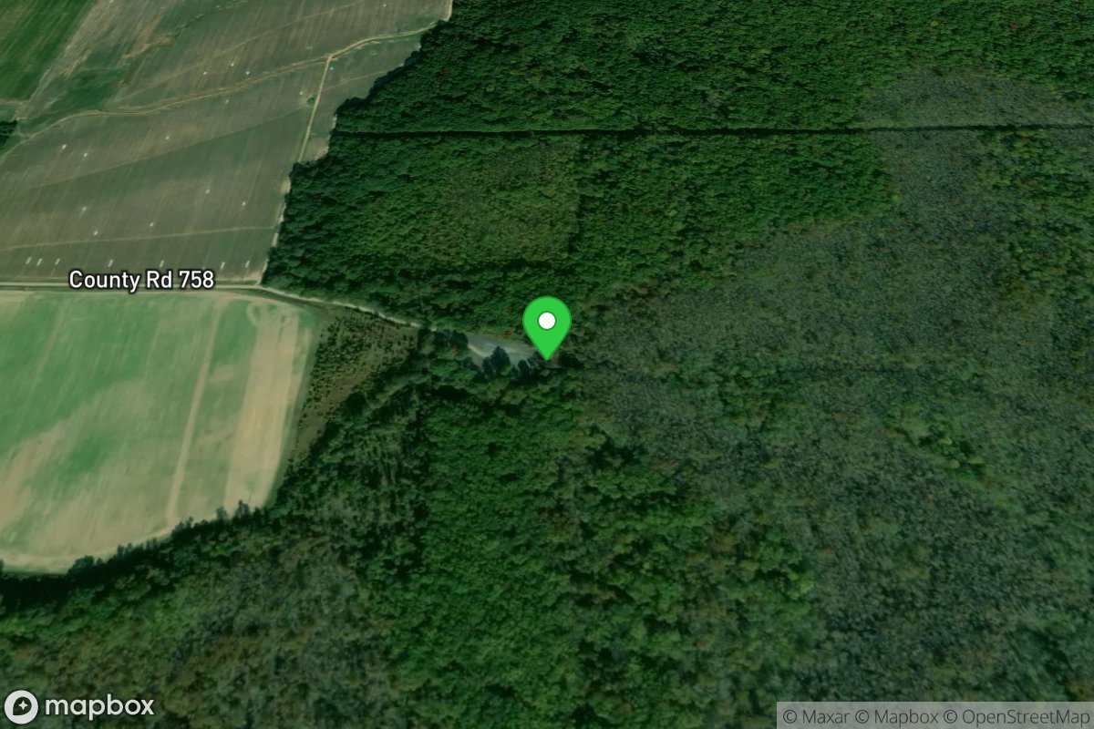 Boat Lane Boat Ramp To Cache River