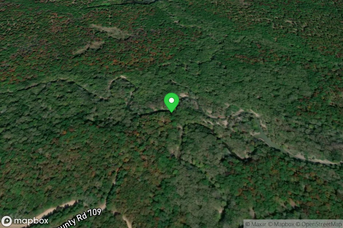 Wattensaw Bayou Boat Ramp