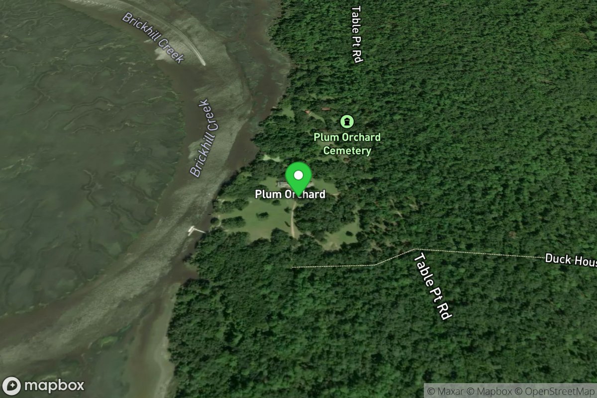 Cumberland Island NS - Plum Orchard