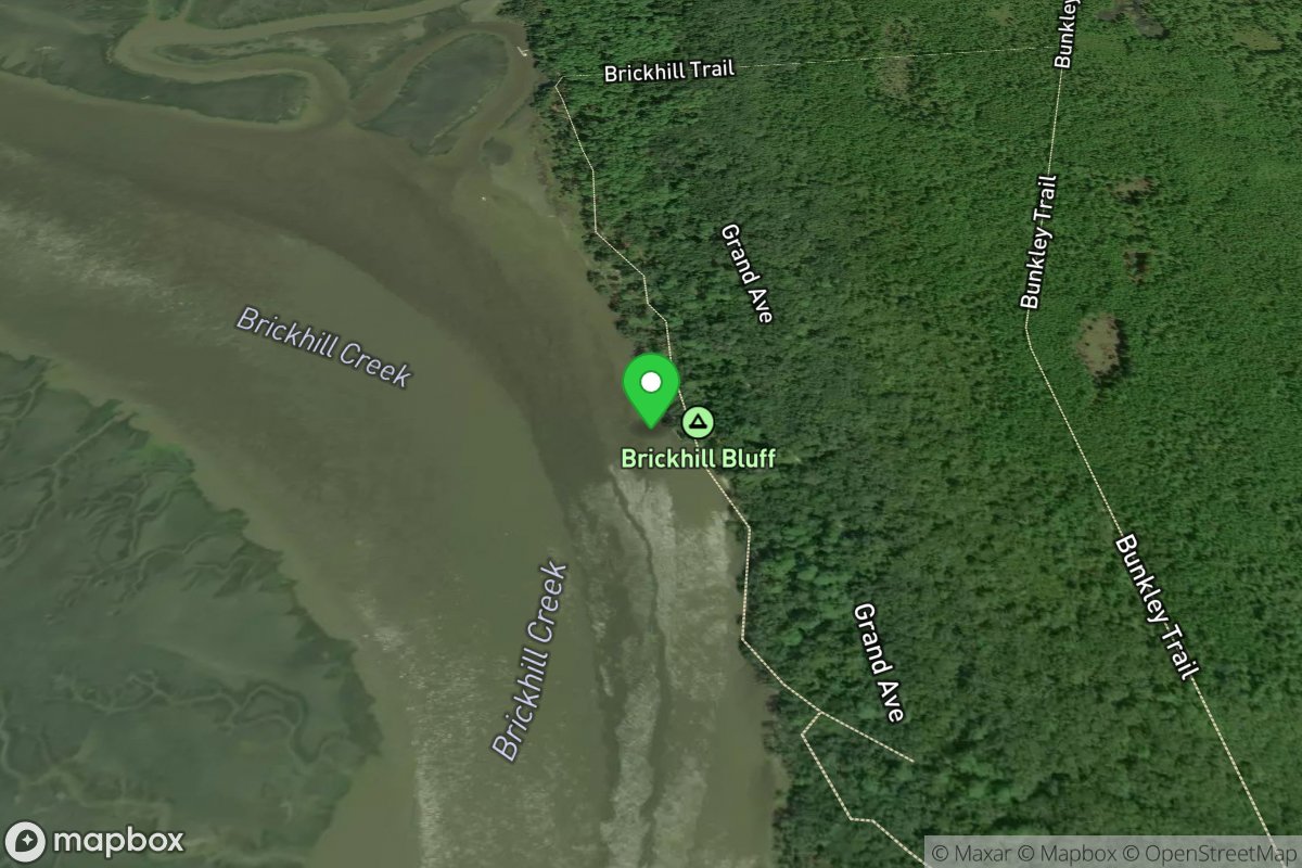 Cumberland Island NS - Brickhill