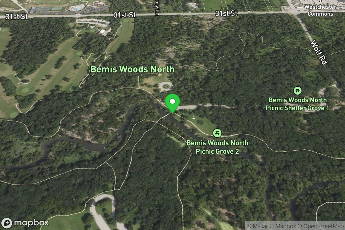 Bemis Woods