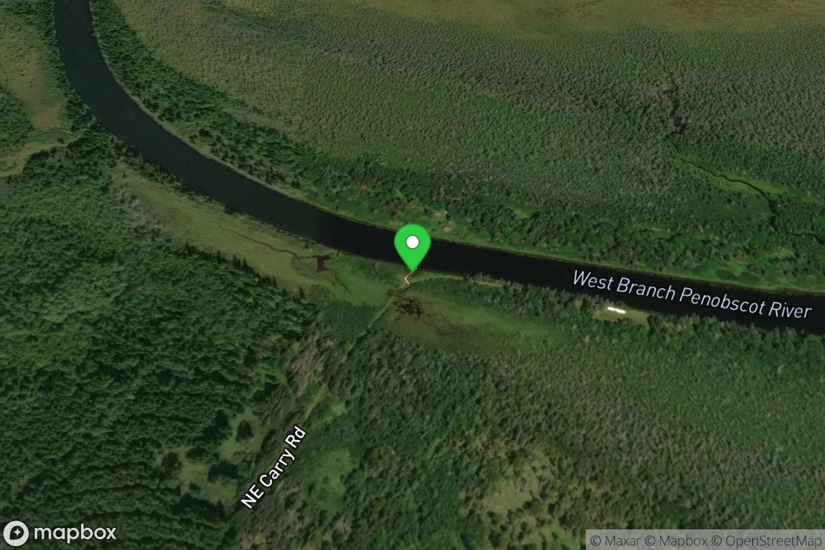 Northeast Carry Township