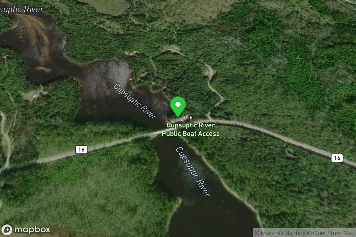 Lower Cupsuptic Township