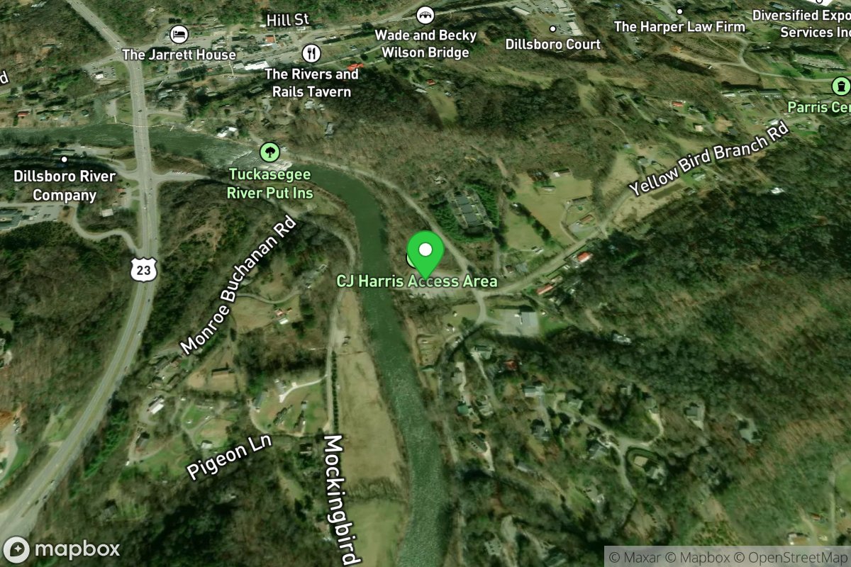 Duke at Yellowbird Branch