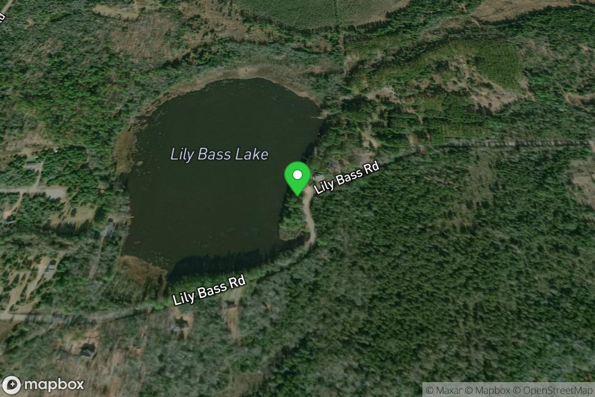 Lily Bass Lake Access