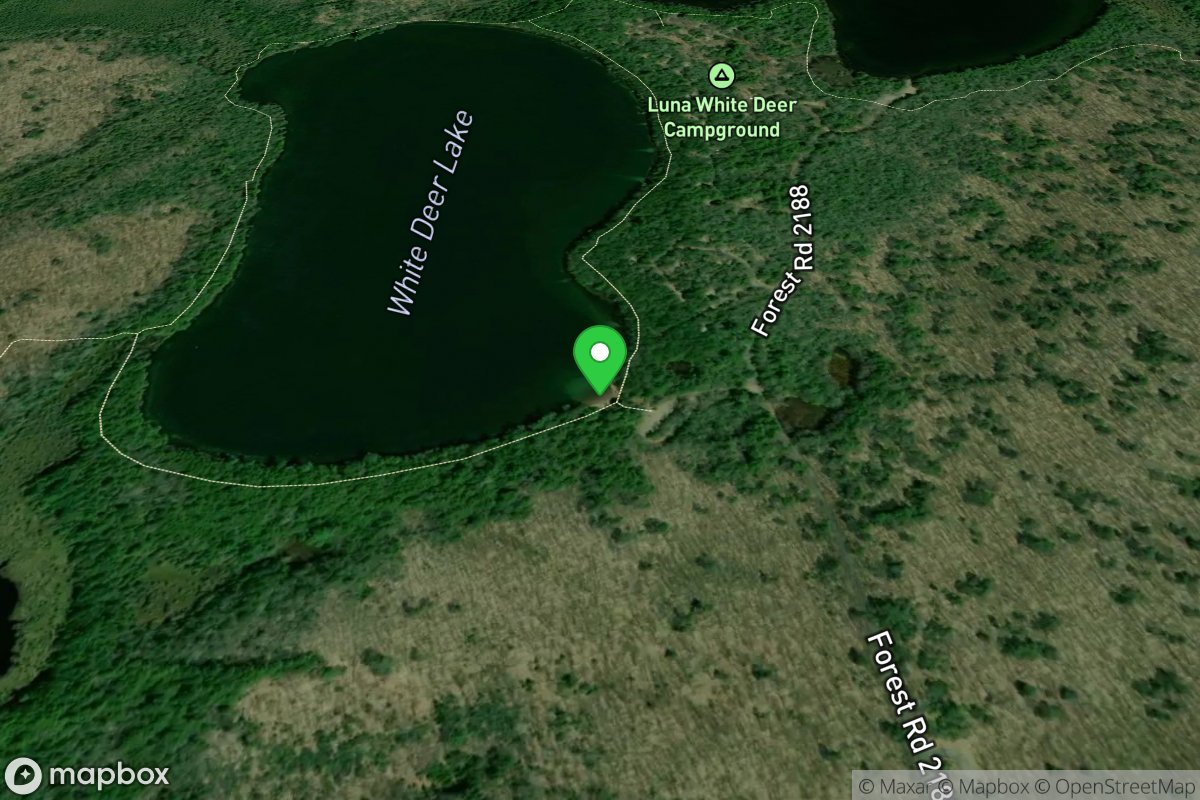 White Deer Lake Access