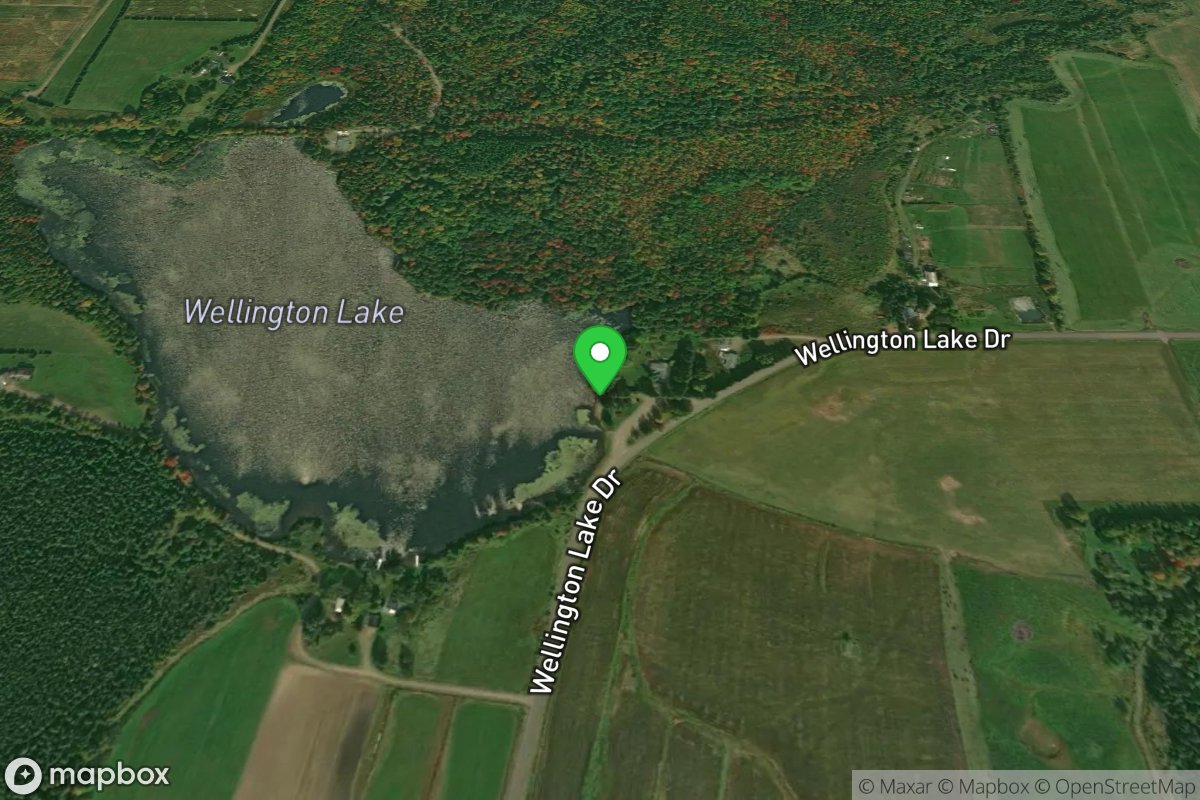 Wellington Lake Ramp