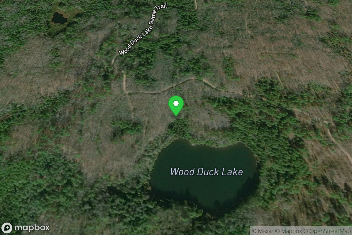 Wood Duck Lake Access