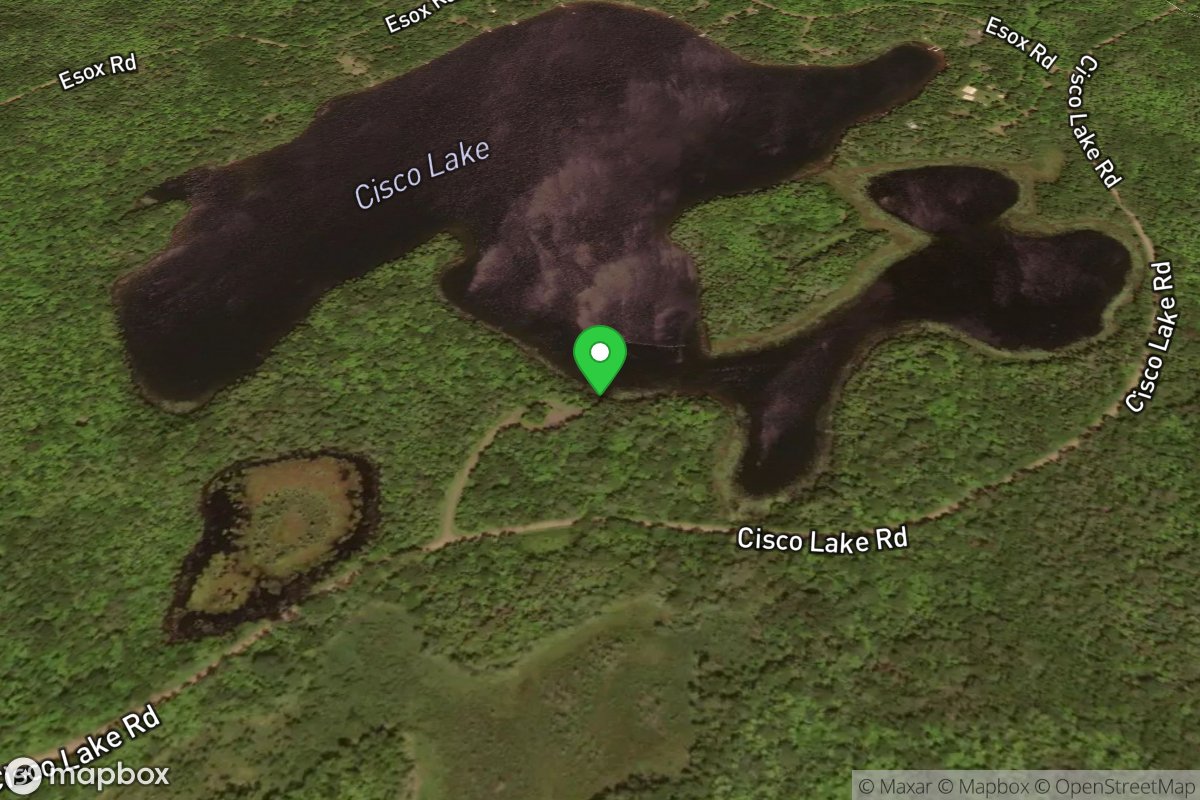 Cisco Lake Access