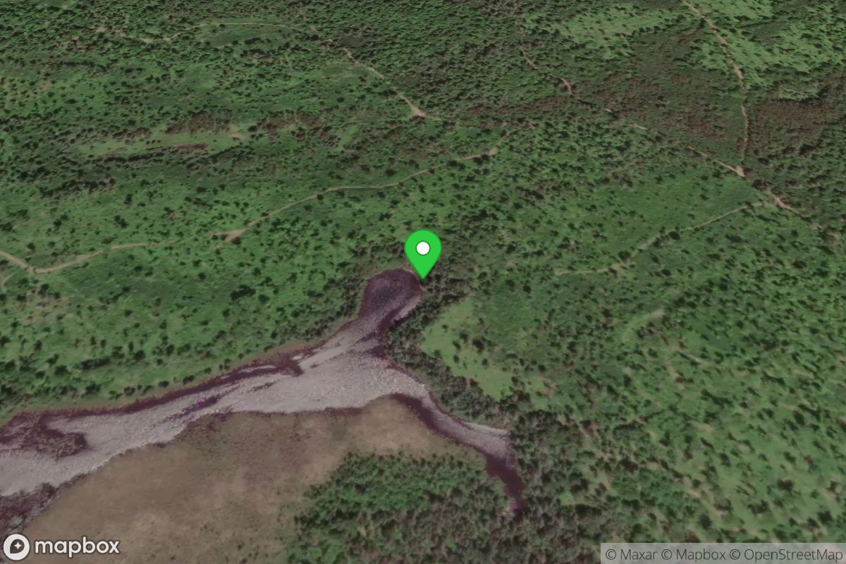 Allequash Springs Access