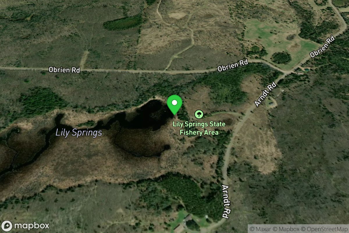 Lily Springs Carry-In