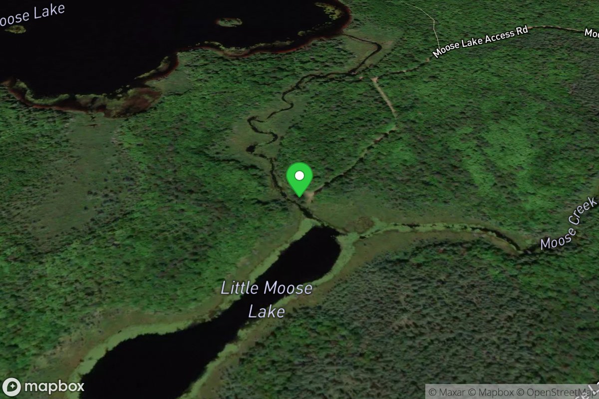 Little Moose Lake Access