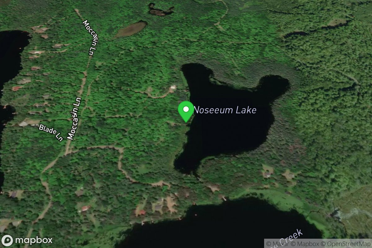 Noseeum Lake Access