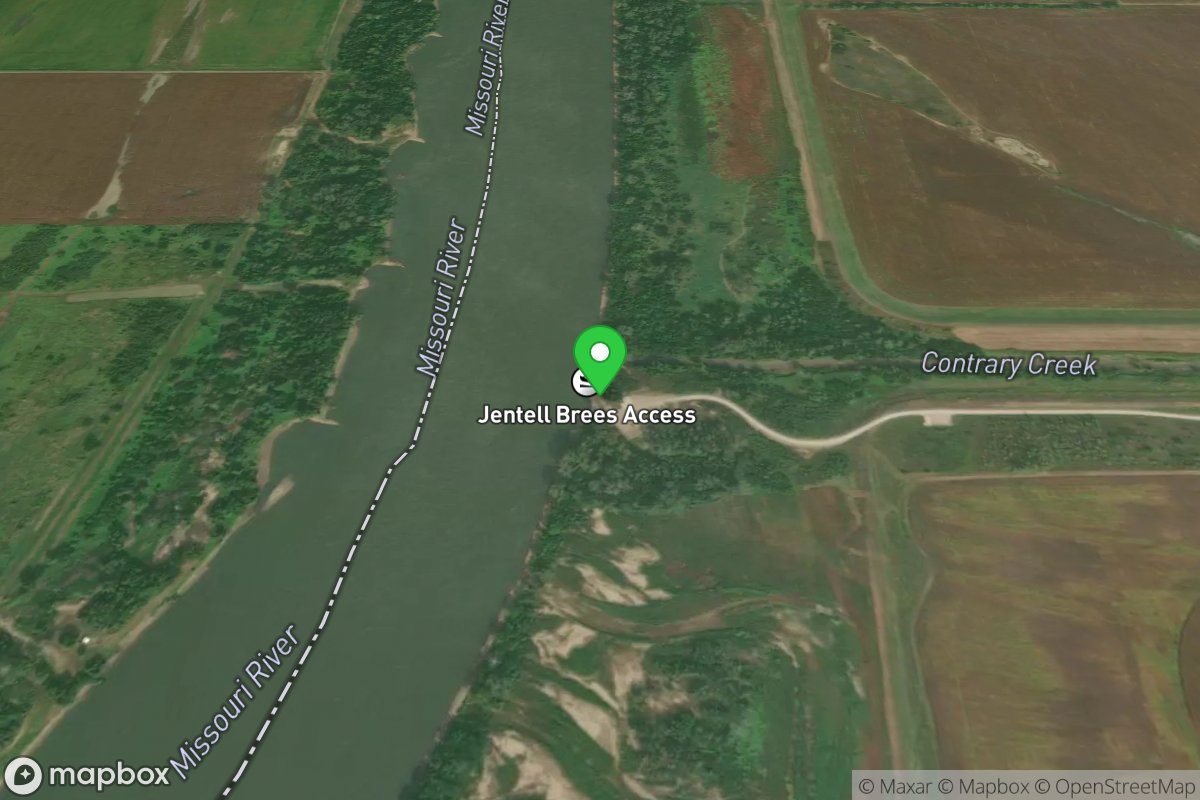 Jentell Brees Access