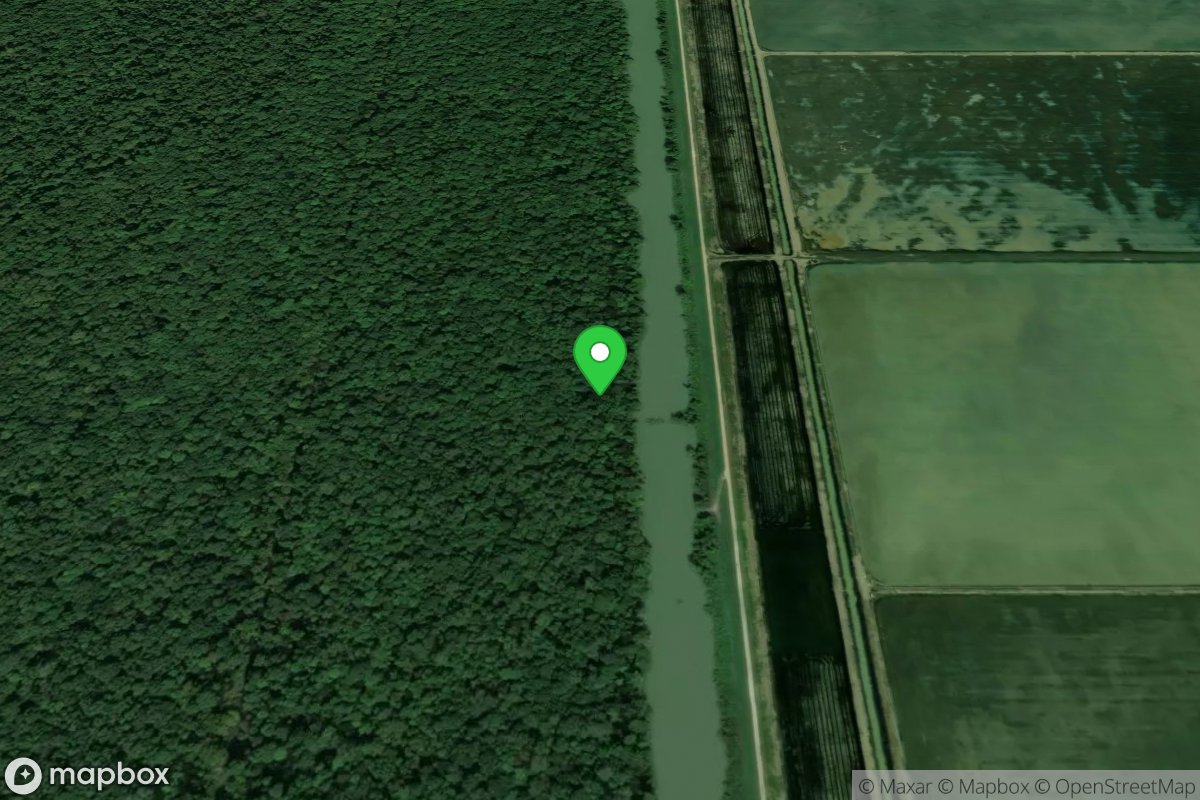 Hornersville Swamp Conservation Area