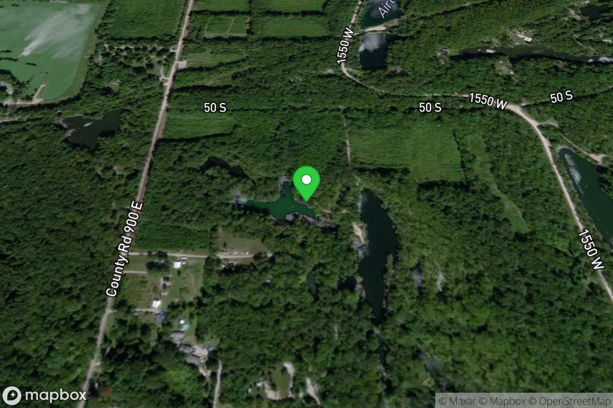 Tulip Pit (Greene-Sullivan)