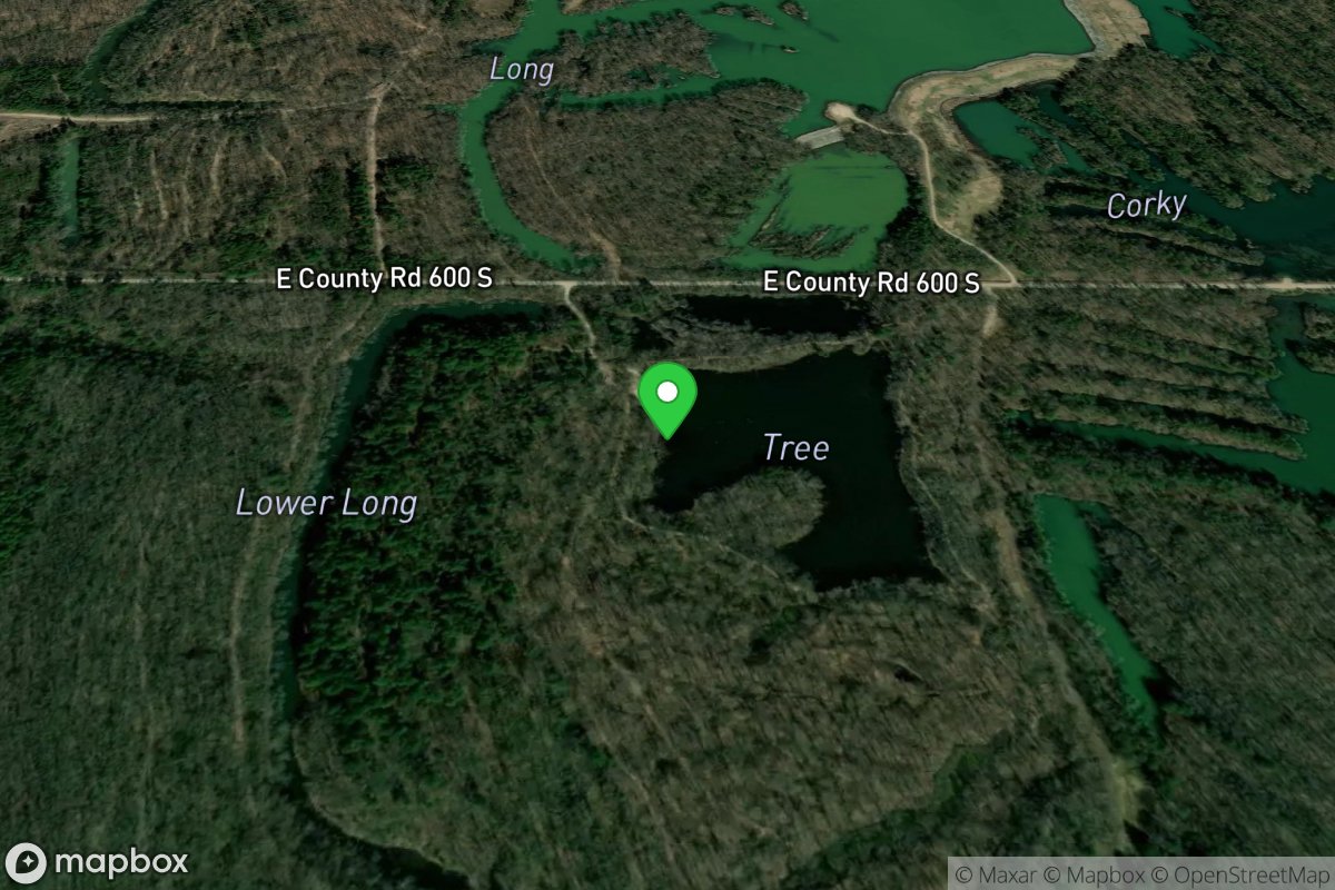 Tree Pit (Greene-Sullivan)