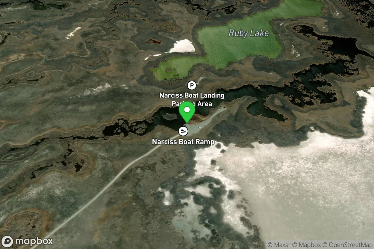 Narciss Boat Landing