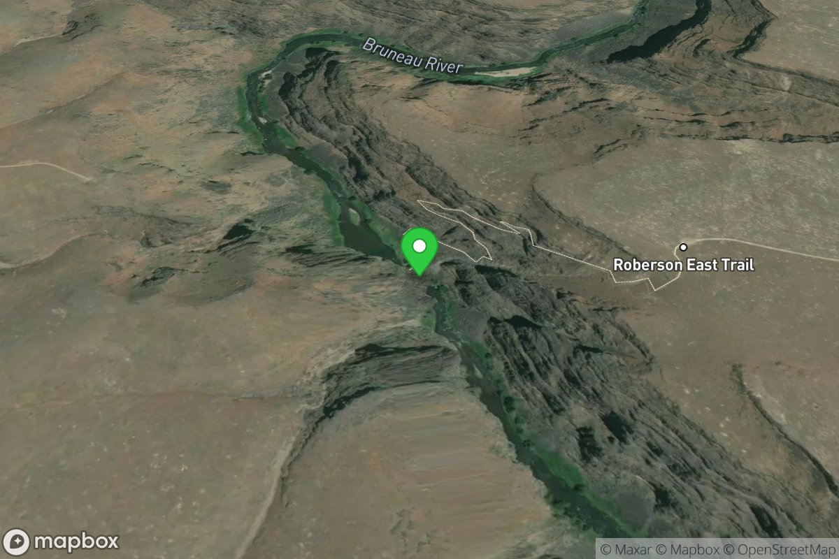 Bruneau River Take-out Roberson East and West trai