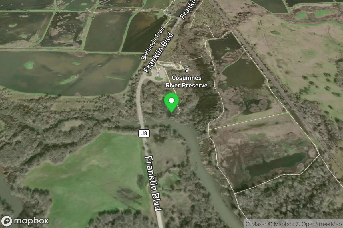 Consumnes River Preserve Boat Dock