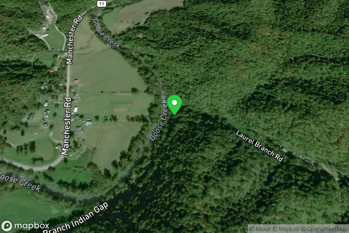 Laurel Branch Road Carrydown