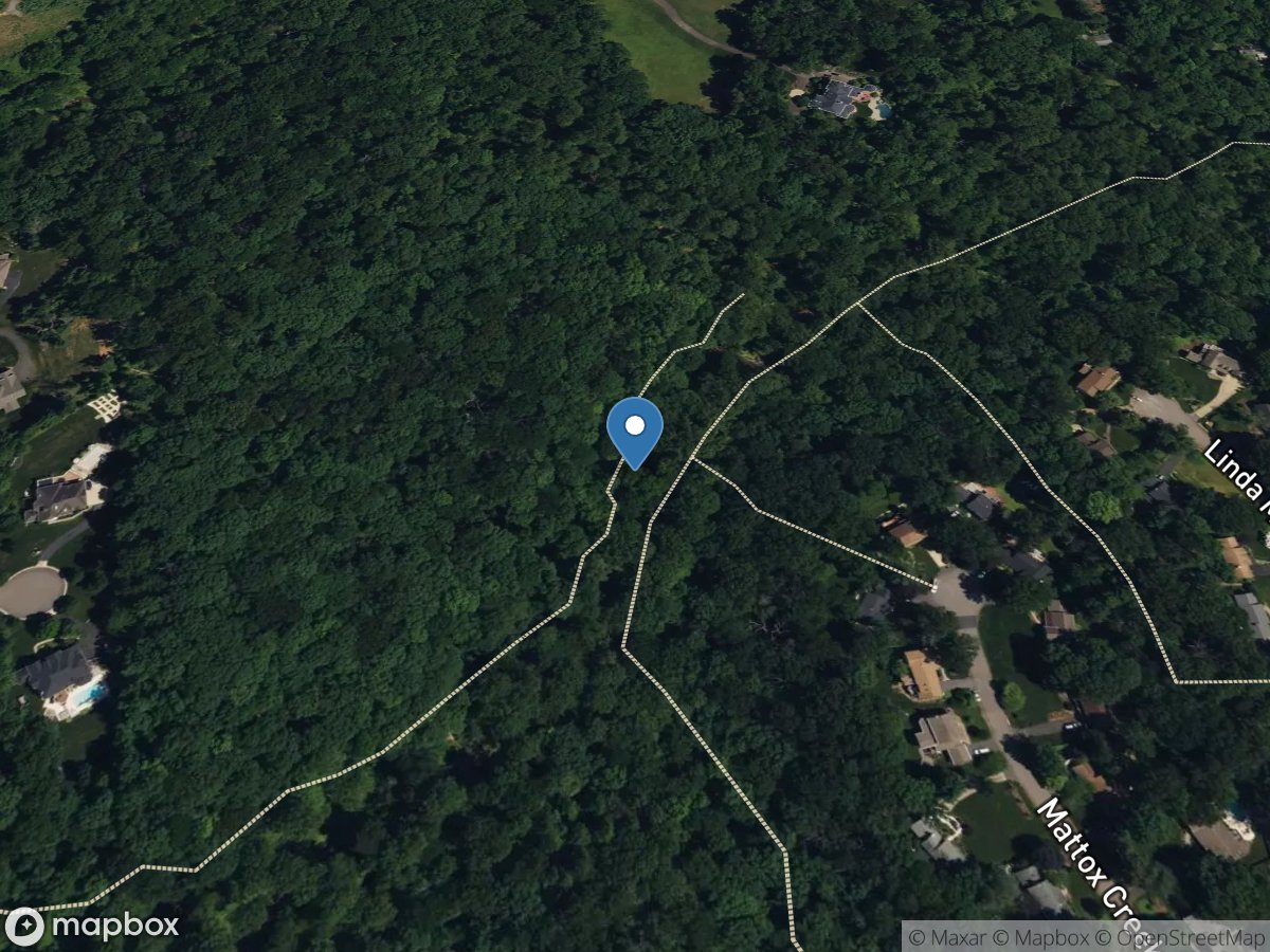 S F Little Difficult Run above Mouth near Vienna, VA location