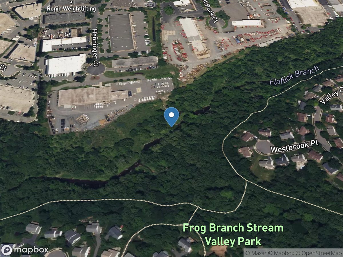 Flatlick Branch above Frog Branch at Chantilly, VA location