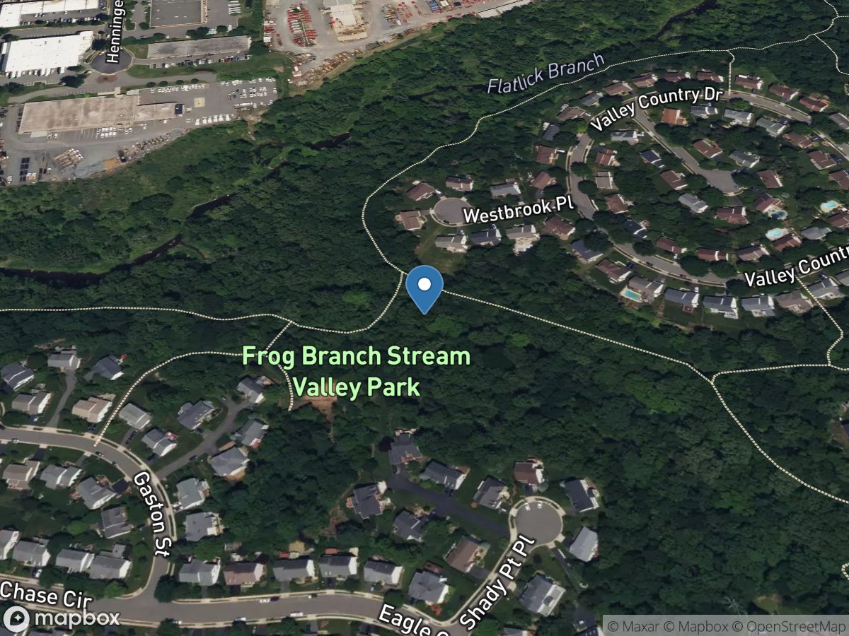 Frog Branch above Flatlick Branch at Chantilly, VA location