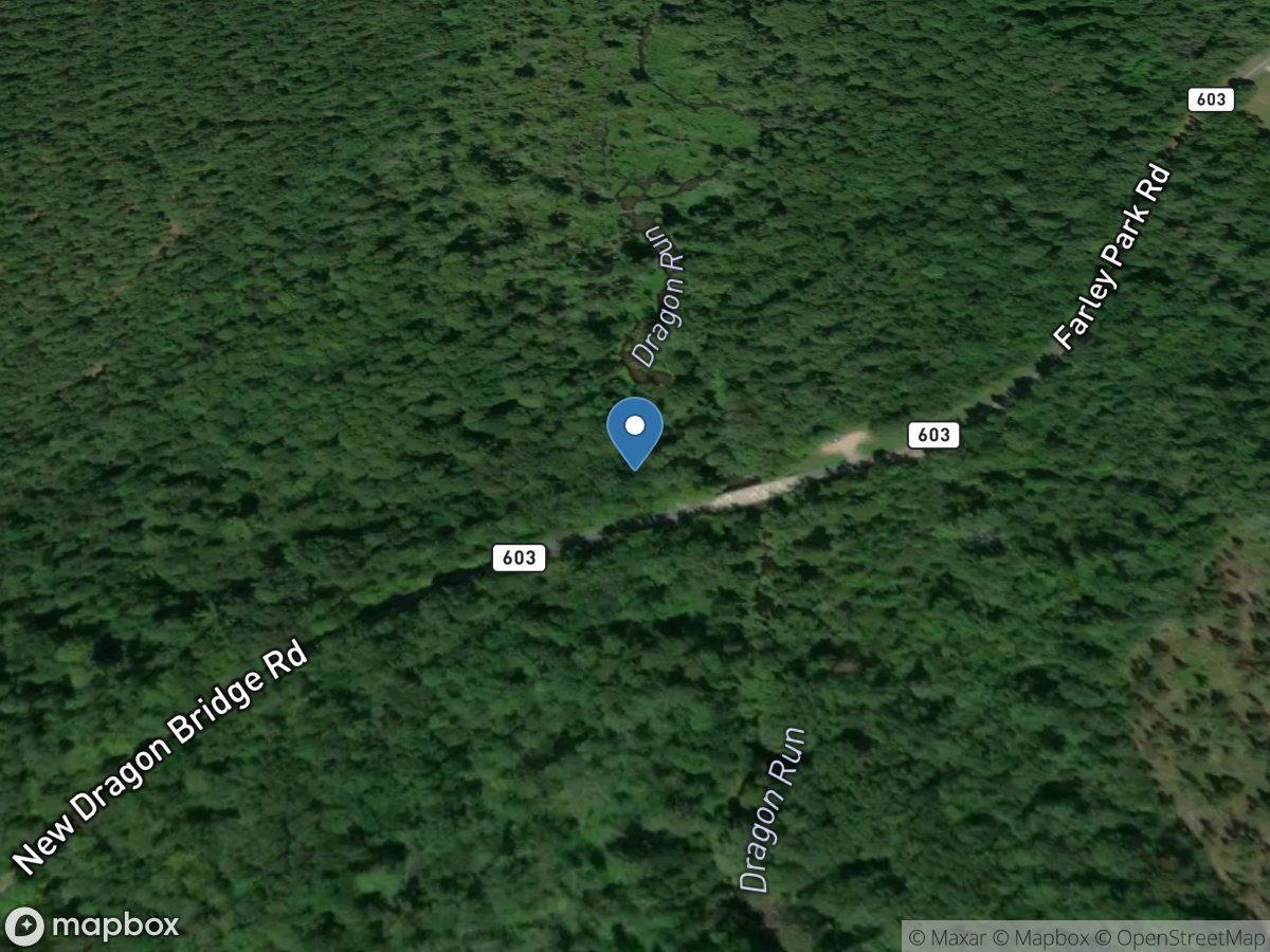 Dragon Swamp at Mascot, VA location