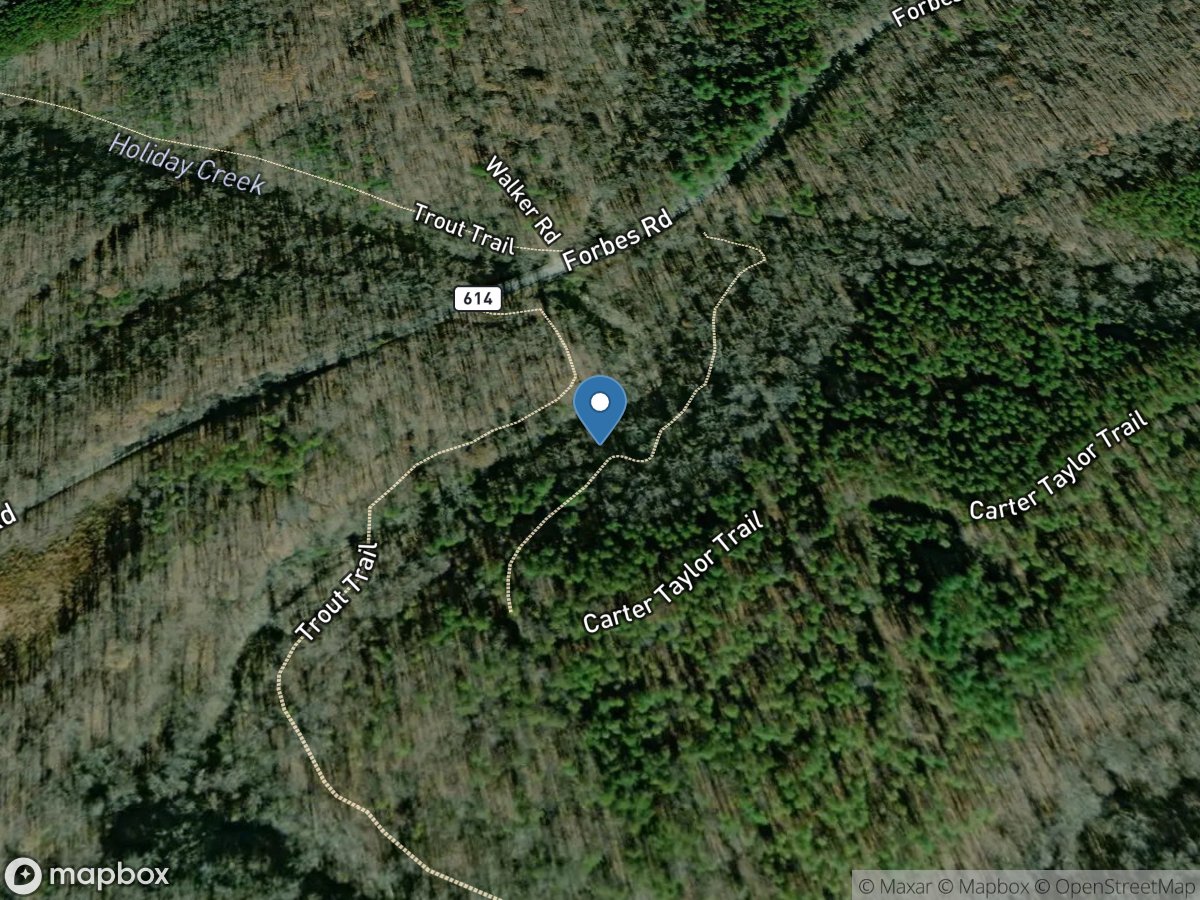 Holiday Creek near Andersonville, VA location