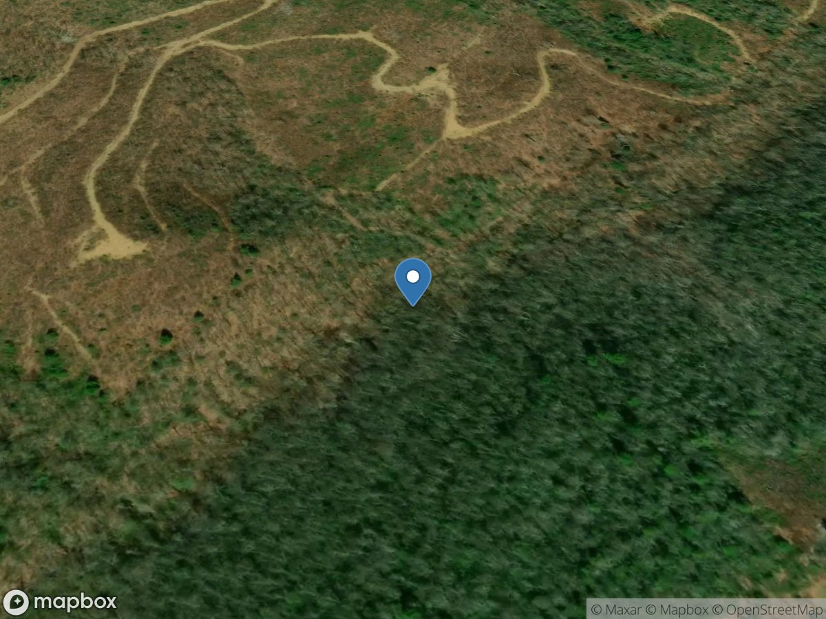 Bottom Creek above Tributary near Bent Mountain, VA location