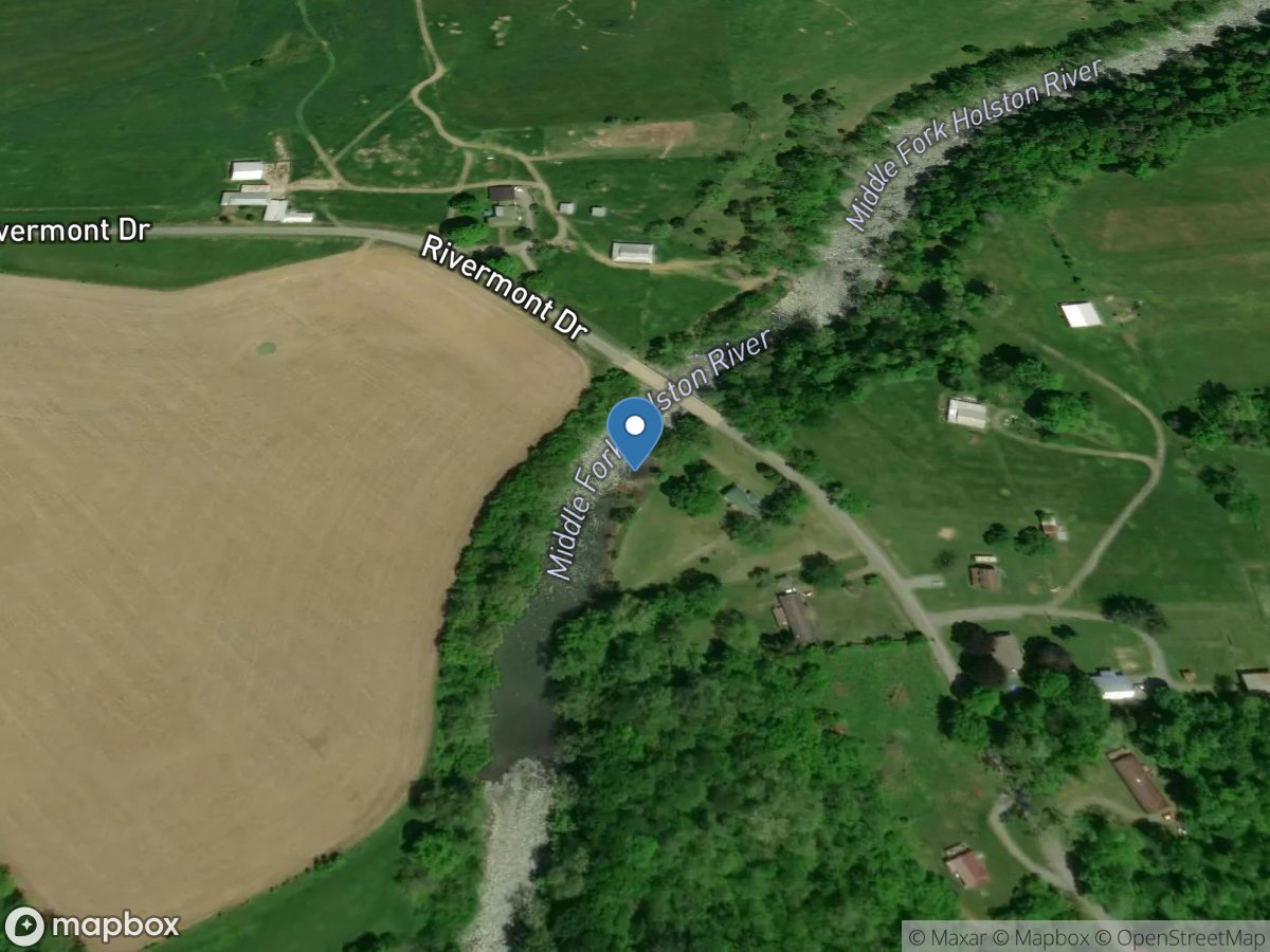 M F Holston River near Meadowview, VA location